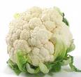 veg veg